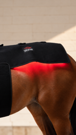 WAVE RLT G2 Lysterapi - Topline (2 stk. Large)
