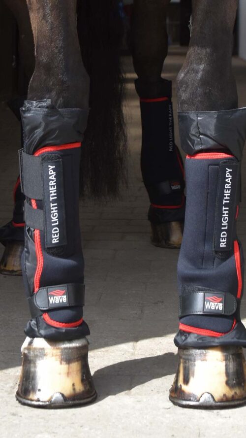 WAVE therapy boots infrared heat for horses