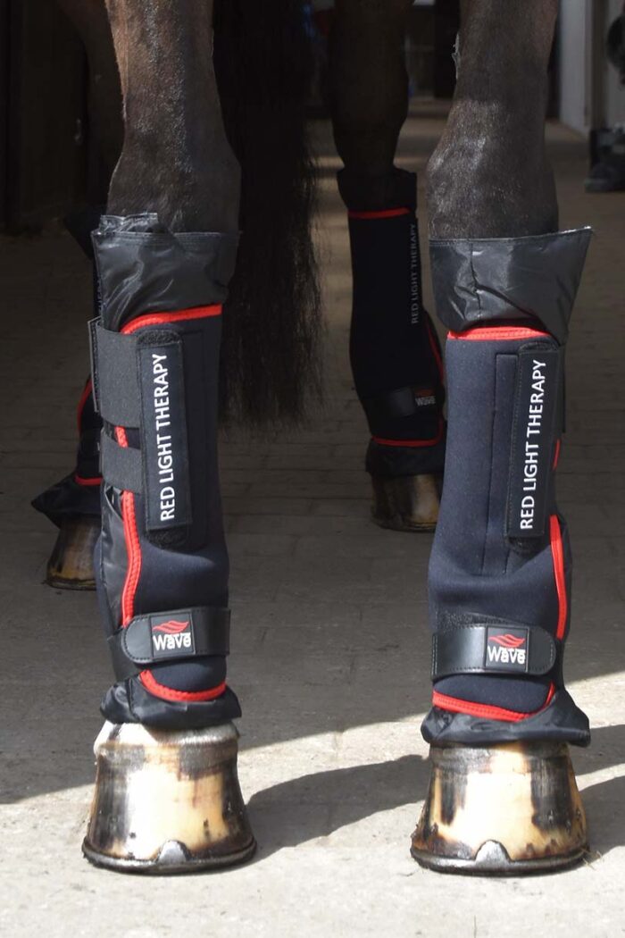 WAVE therapy boots infrarød varme til heste