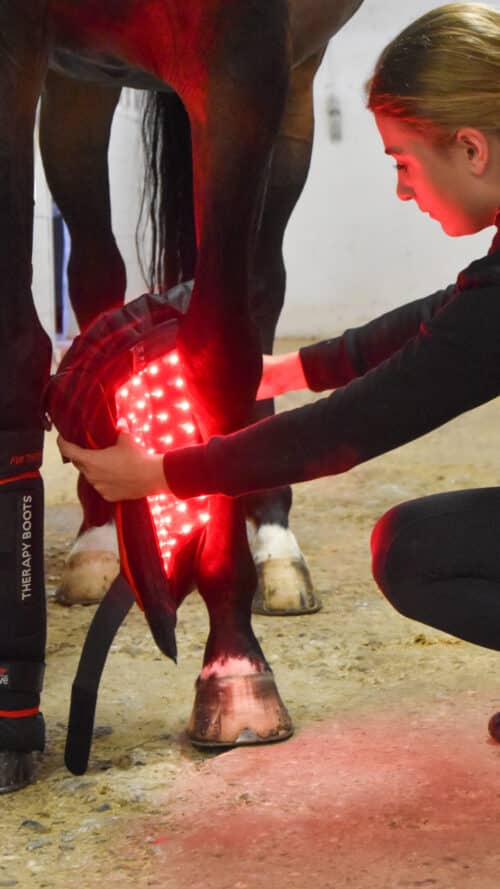 Travel bag with light therapy for horses WAVE RLT in small and therapy boots