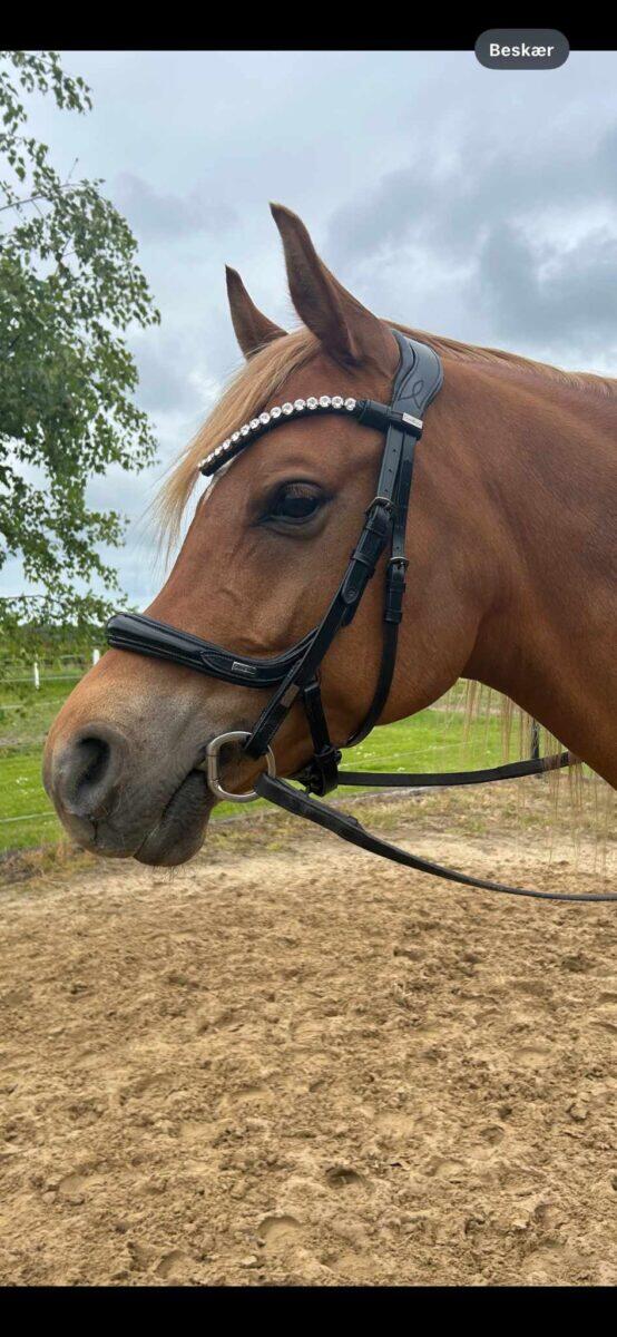 442426038_1001059854700735_3708991096845117269_n