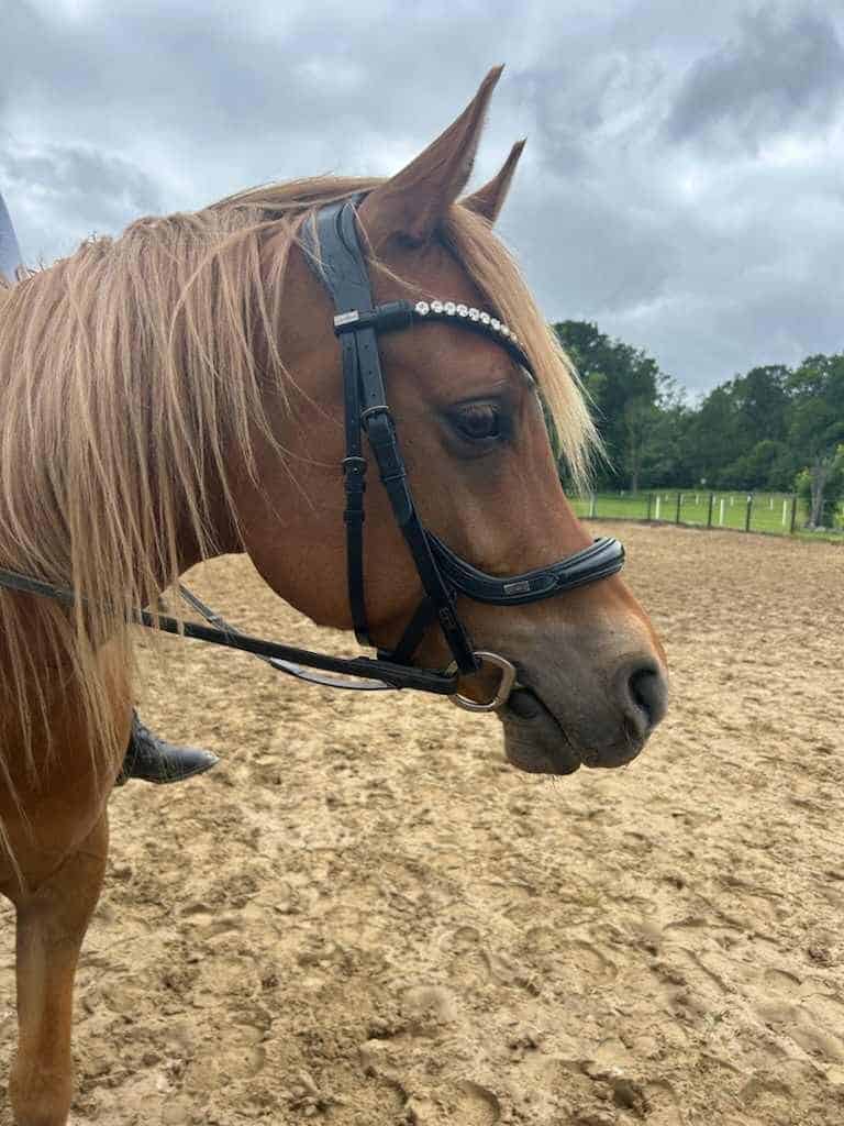 445629142_1559673584611788_7310212361464363613_n