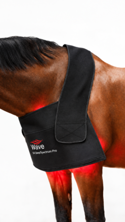 WAVE RLT G4 DSP Lysterapi - Large