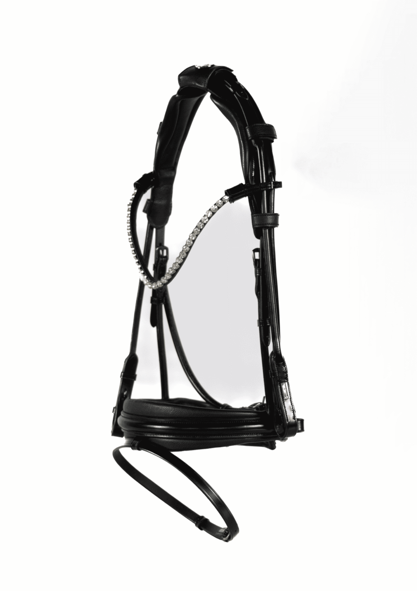 EXTENDED ERGO