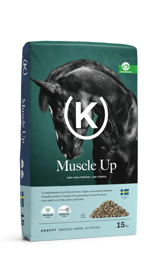 KRAFFT MUSCLE UP
