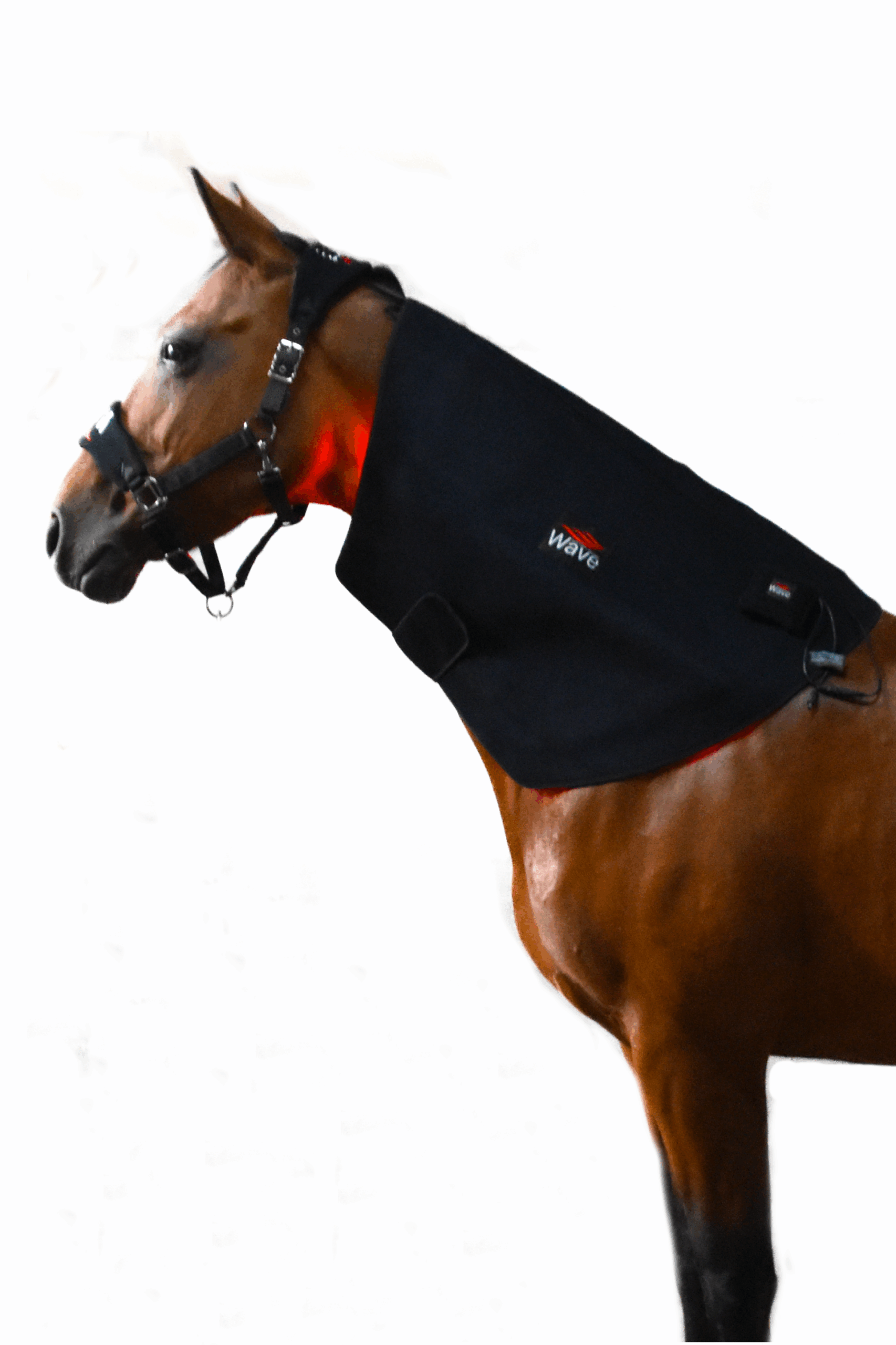 WAVE RLT G2 light therapy - Large - Image 14