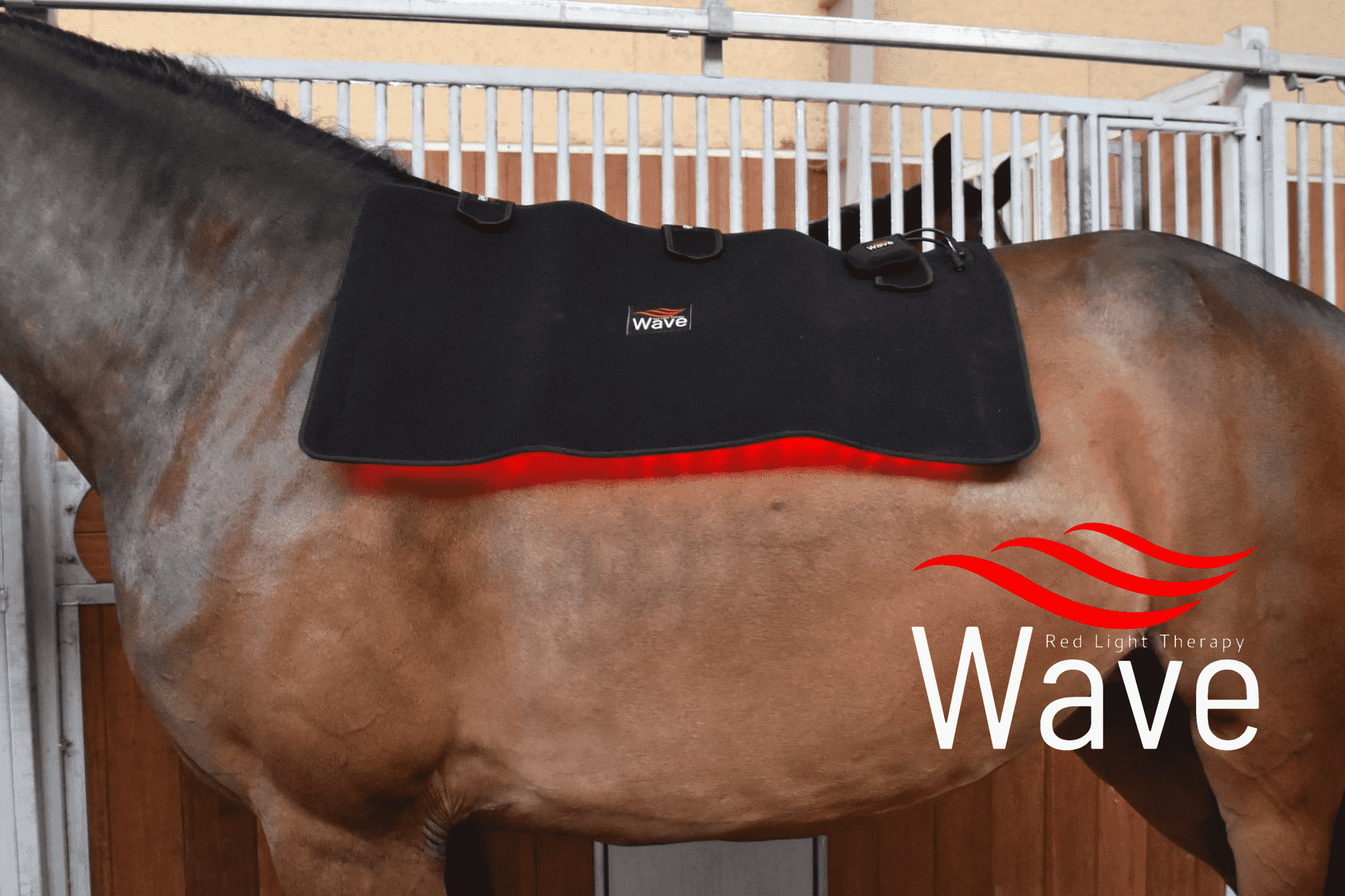 WAVE RLT G2 Lysterapi - Topline (2 stk. Large) - Billede 10