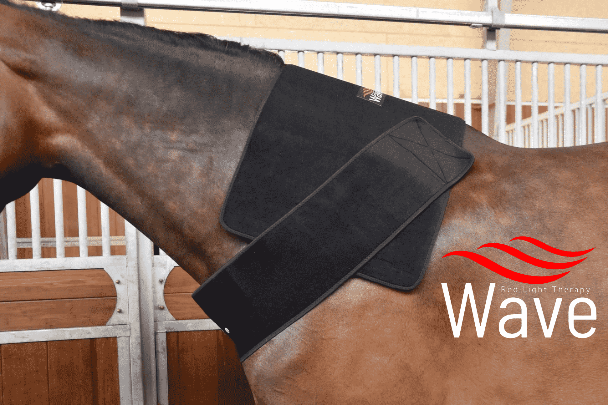 WAVE RLT G2 Lysterapi - Topline (2 stk. Large) - Billede 5