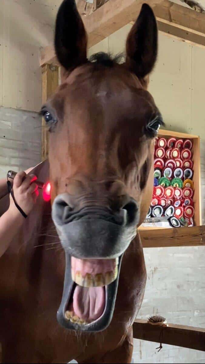 WAVE RLT 2.0 Lichttherapiestift – Abbildung 3