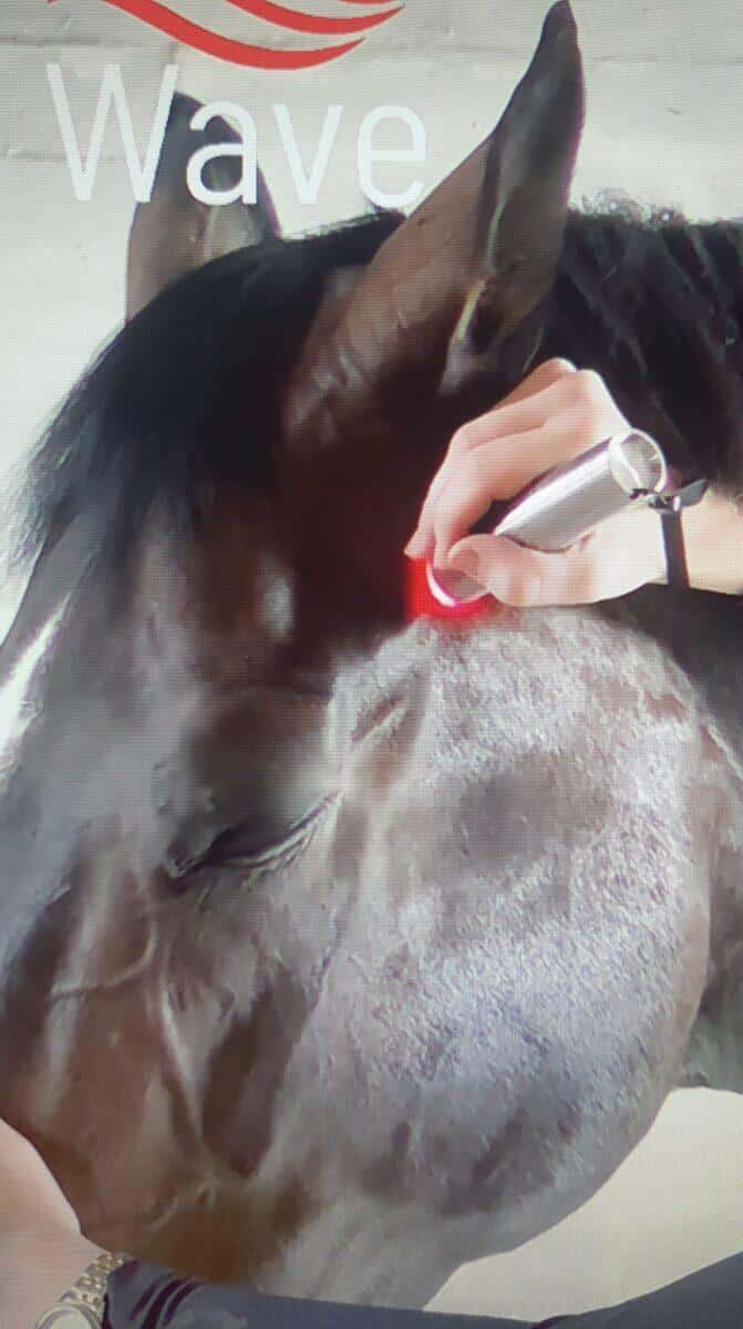 WAVE RLT 2.0 Lichttherapiestift – Abbildung 4