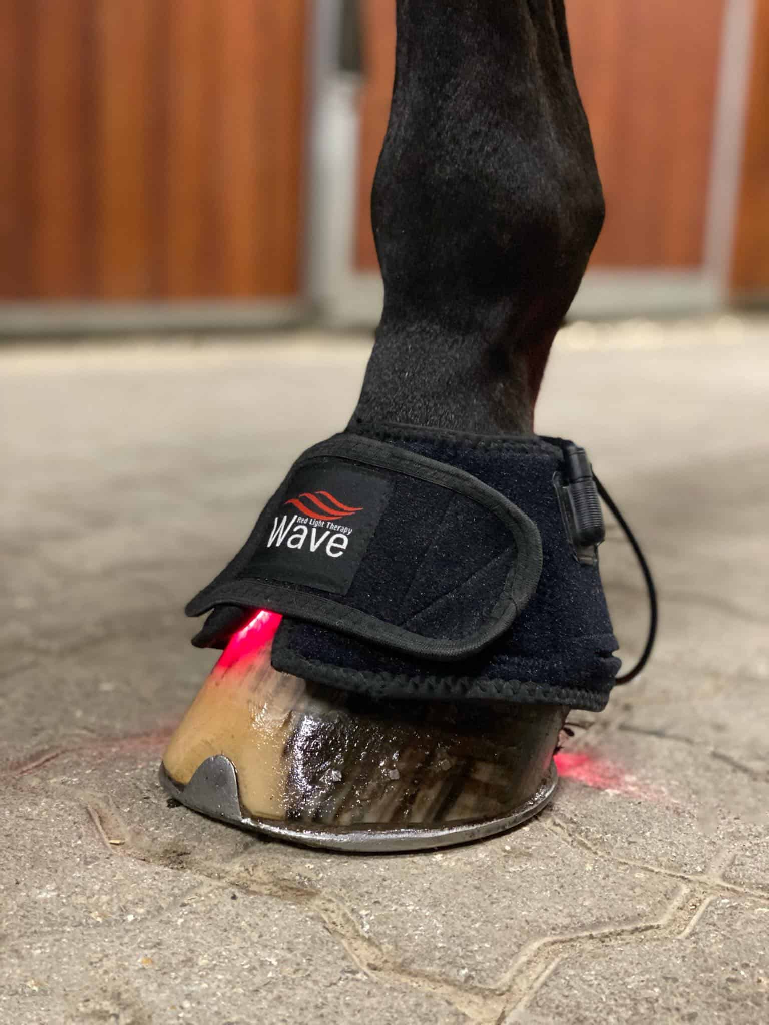 Wave RLT G4 DSP Light Therapy - 2 pcs. BellBoot - Image 5