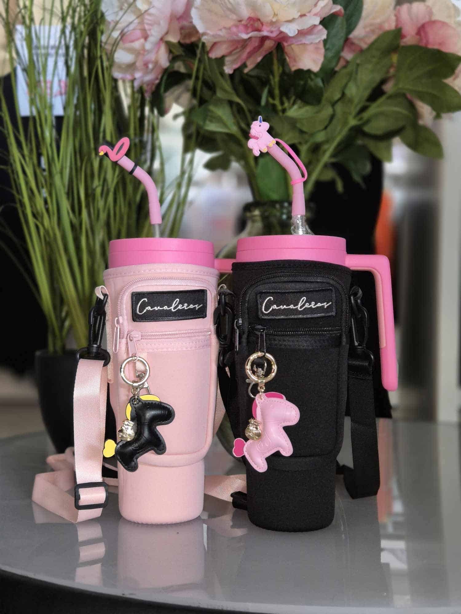 Cavaleros High-Drate Carry Case