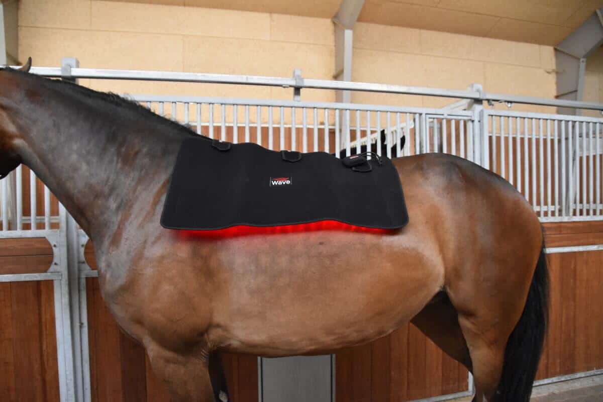 WAVE RLT G2 Lysterapi - Topline (2 stk. Large) - Billede 8