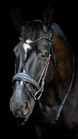 Rounded cheek pieces with elasticated suspension