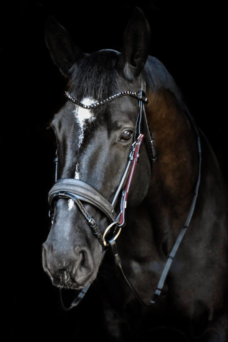 Rounded cheek pieces with elasticated suspension