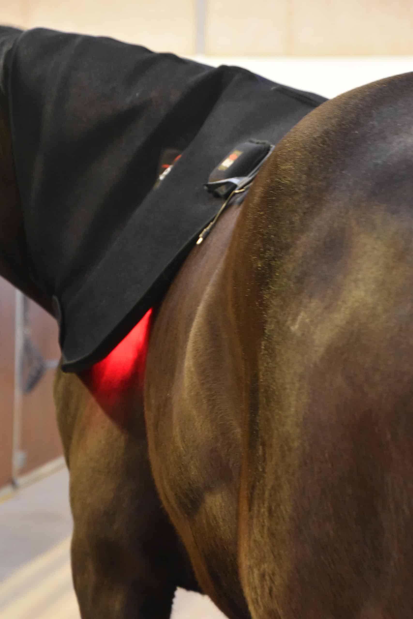 WAVE RLT G2 light therapy - Large - Image 13