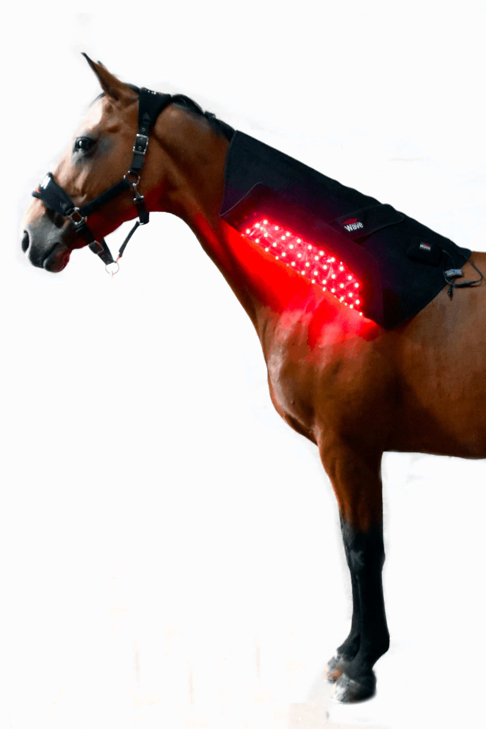 WAVE RLT G2 light therapy - Large - Image 15