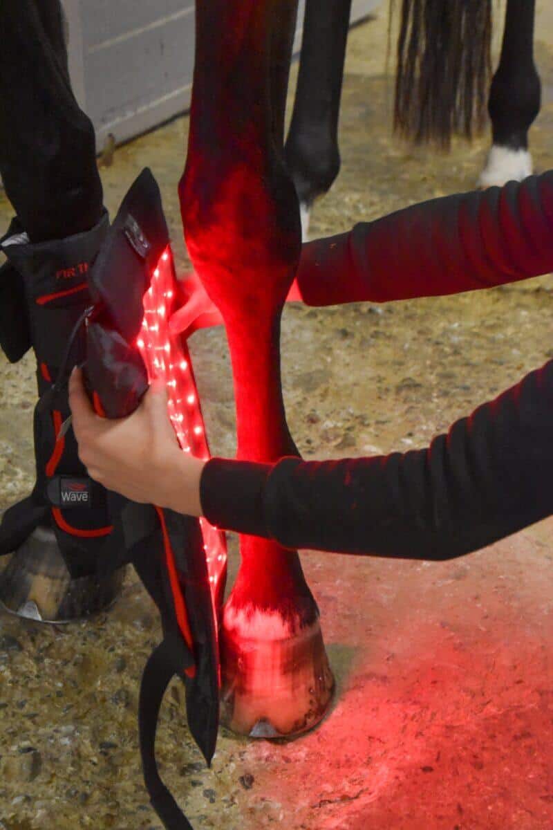 WAVE RLT G3 Deep Spectrum - Medium - Billede 7