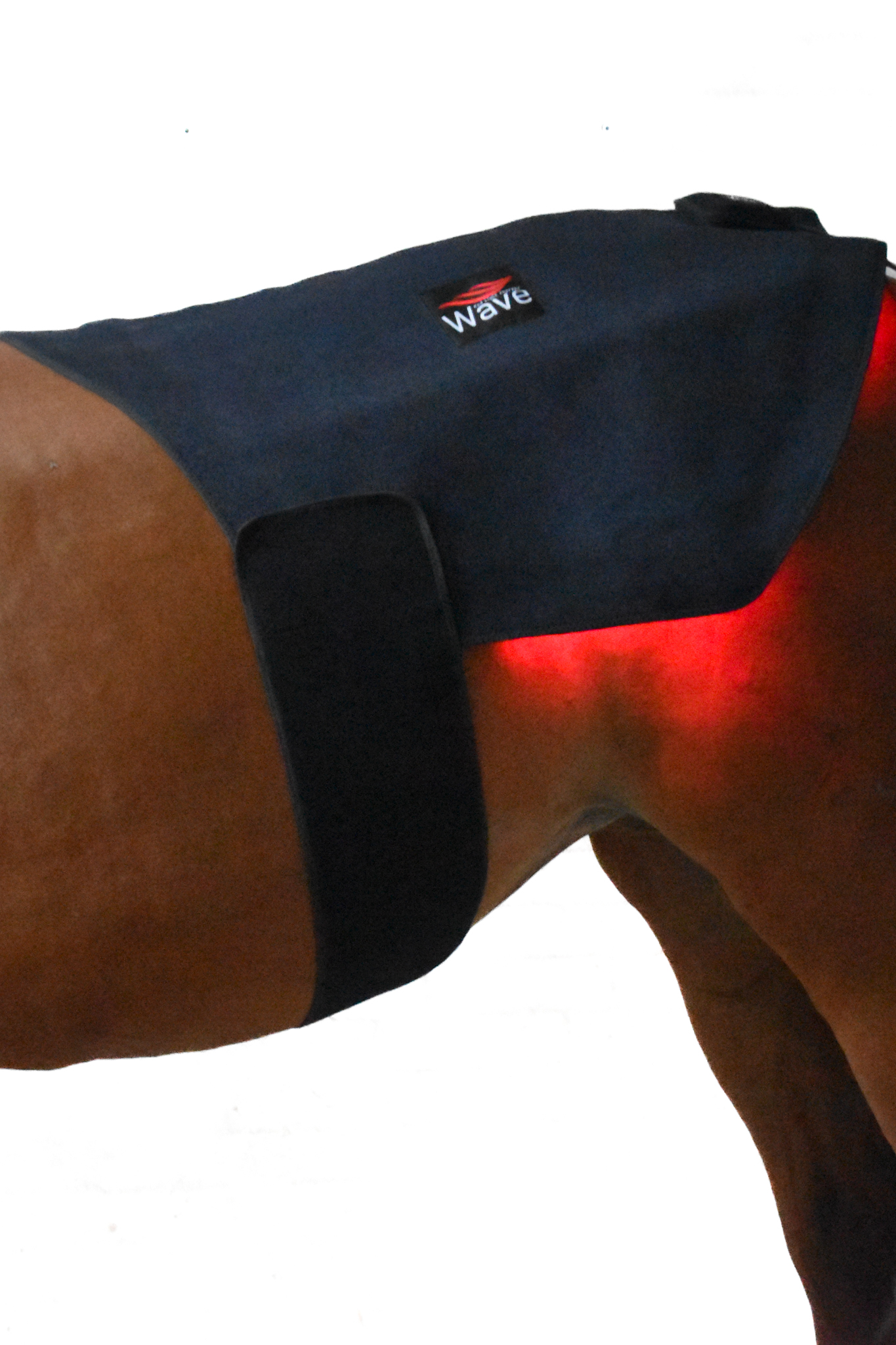 WAVE RLT G2 light therapy - Large - Image 16