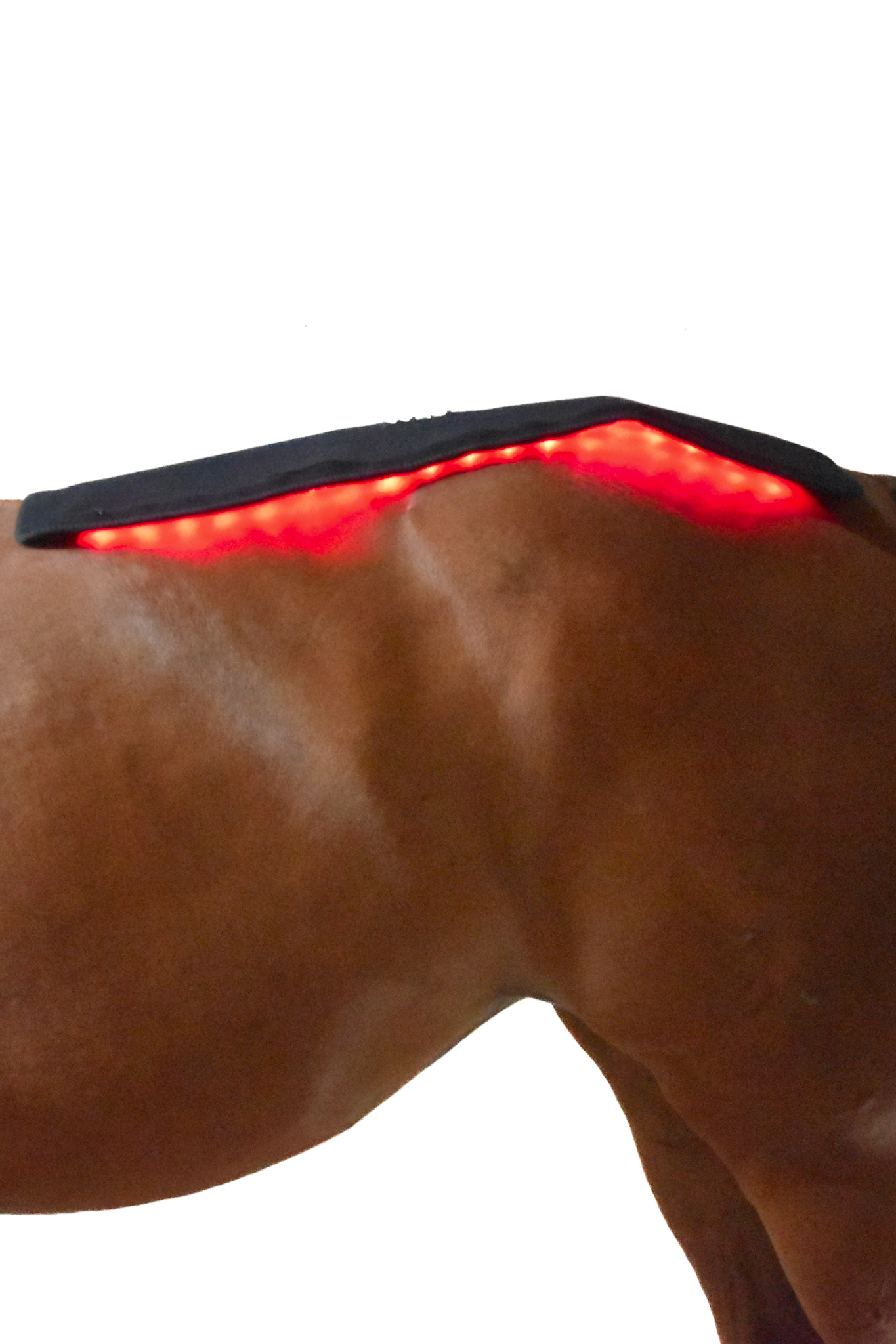 WAVE RLT G2 Lysterapi - Topline (2 stk. Large) - Billede 2