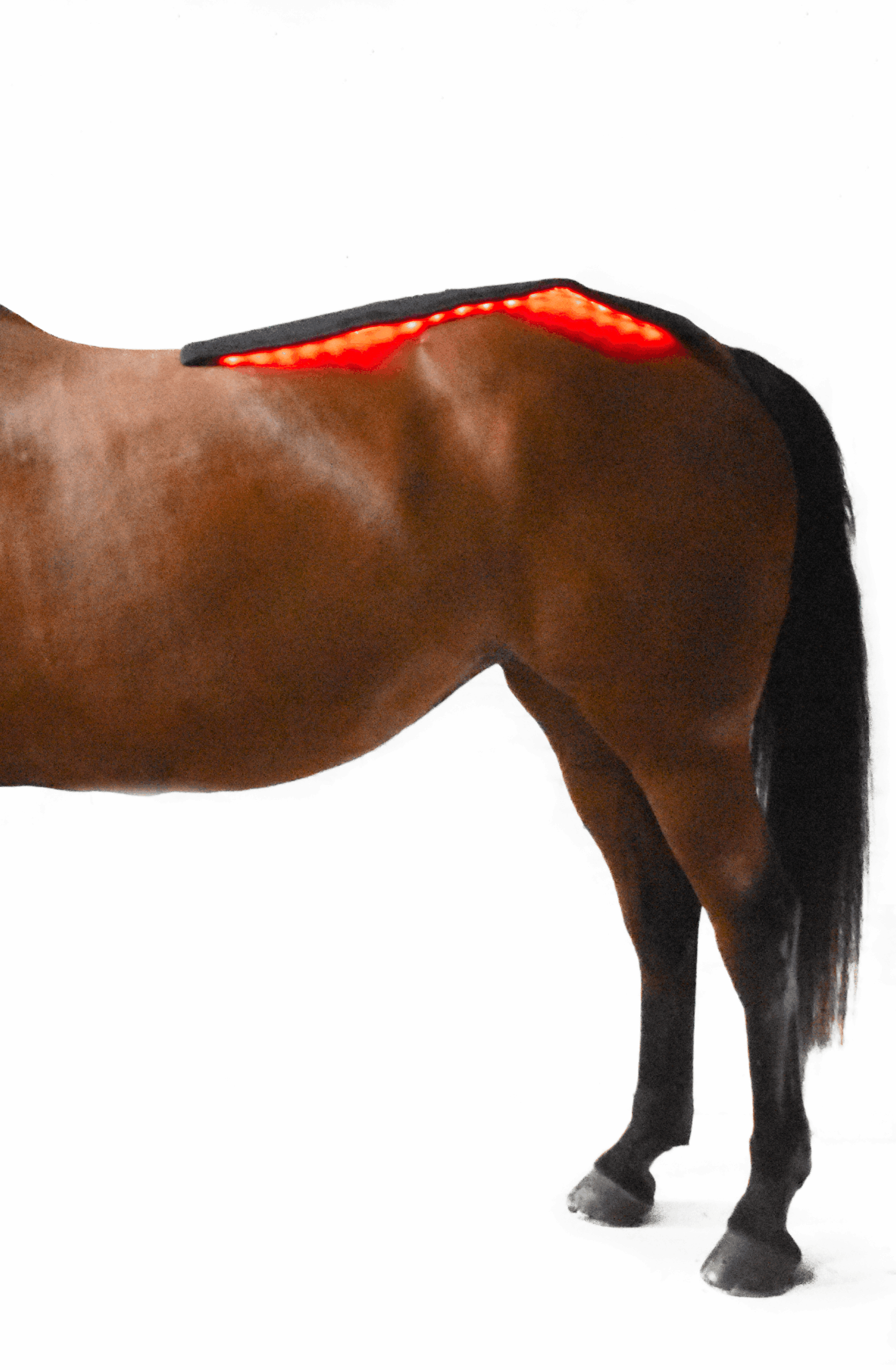 WAVE RLT G2 Lysterapi - Topline (2 stk. Large) - Billede 4