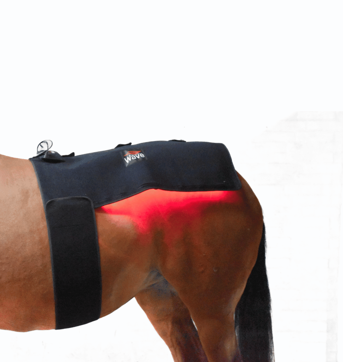 WAVE RLT G2 Lysterapi - Topline (2 stk. Large) - Billede 6
