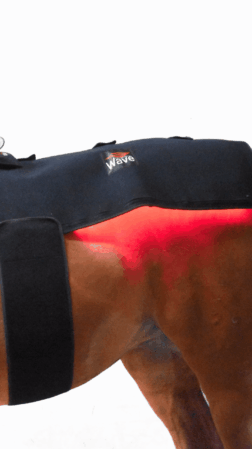 WAVE RLT G2 Lysterapi - Topline (2 stk. Large)