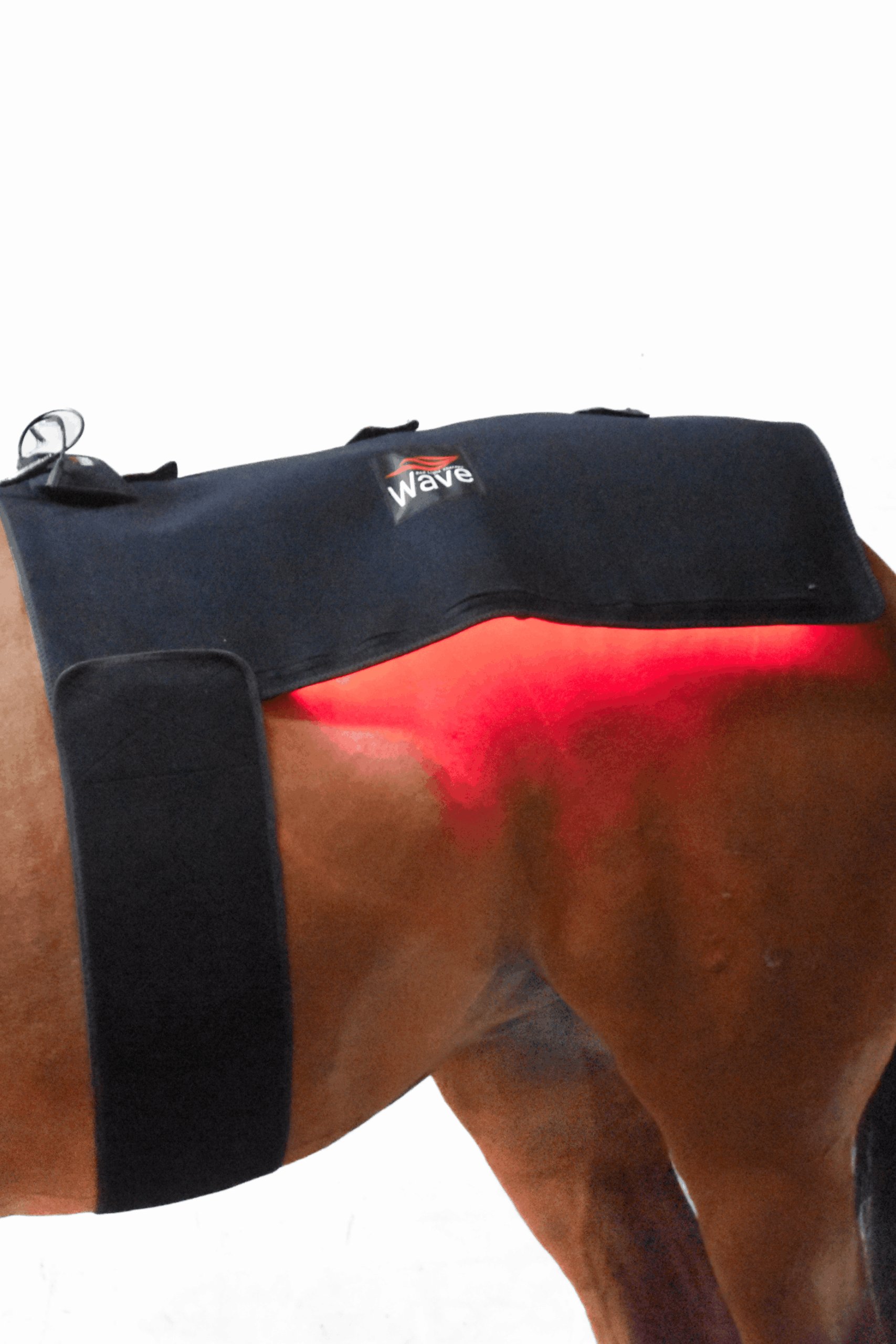 WAVE RLT G2 Lysterapi - Topline (2 stk. Large)