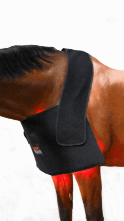 WAVE RLT G2 Lichttherapie - Groß