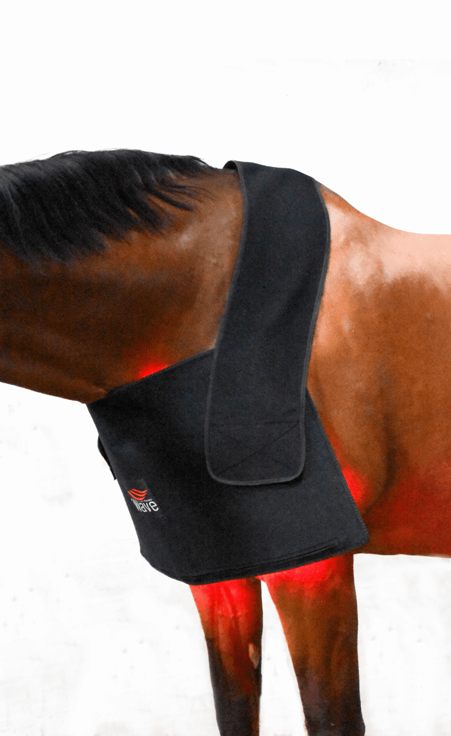 WAVE RLT G2 light therapy - Large