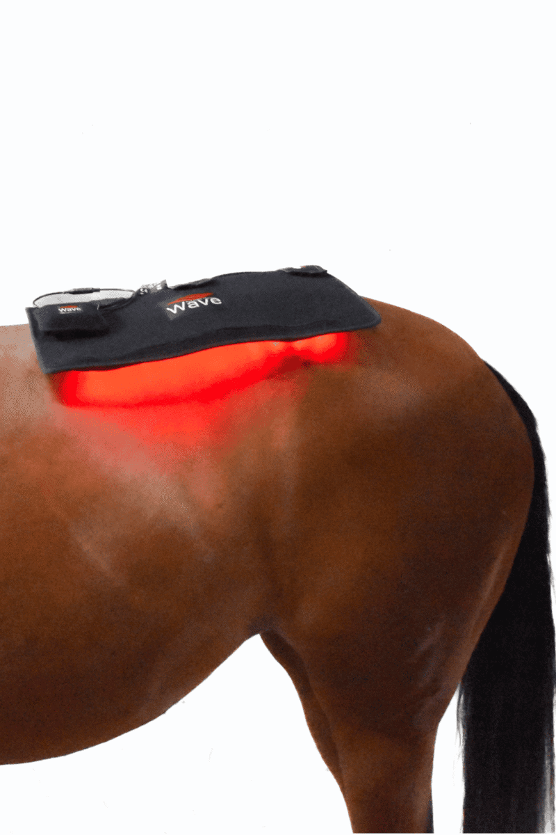 WAVE RLT G3 Deep Spectrum - Medium - Billede 6