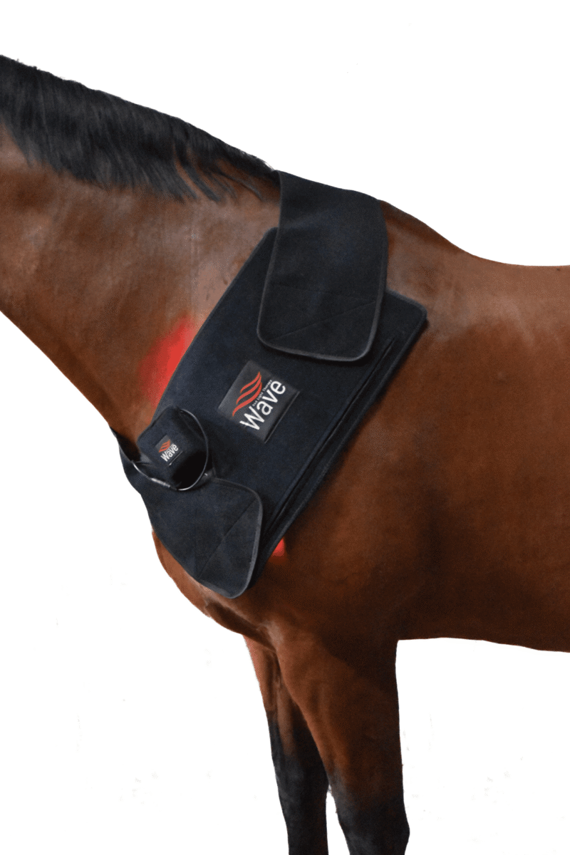 WAVE RLT G3 Deep Spectrum - Medium - Billede 2