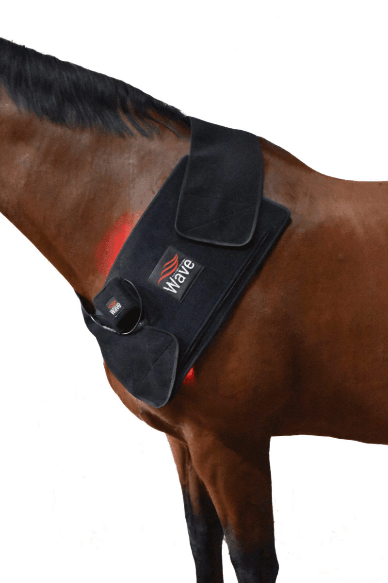 WAVE RLT G3 Deep Spectrum - Medium - Billede 8