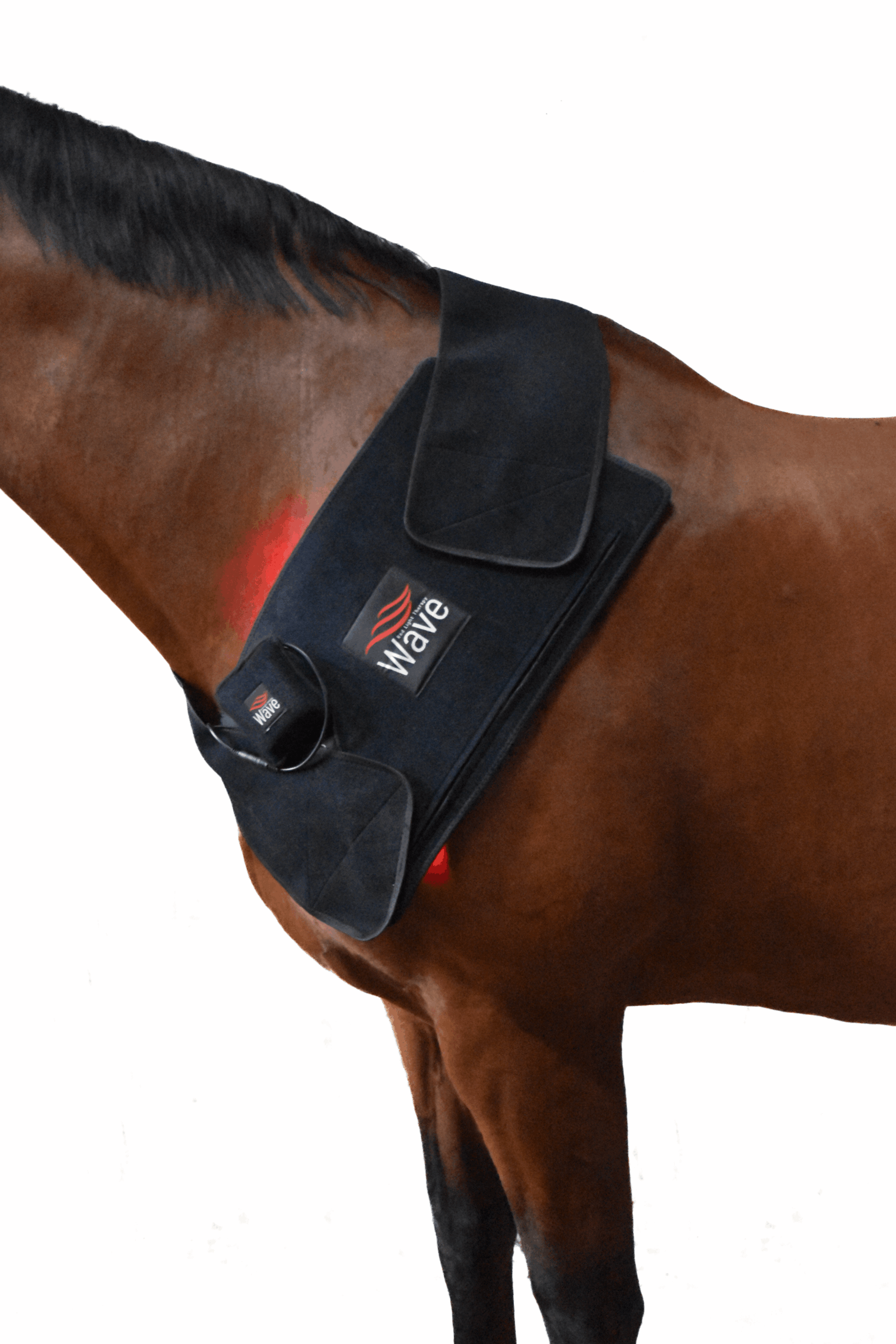 WAVE RLT G2 Light Therapy - MEDIUM - Image 2