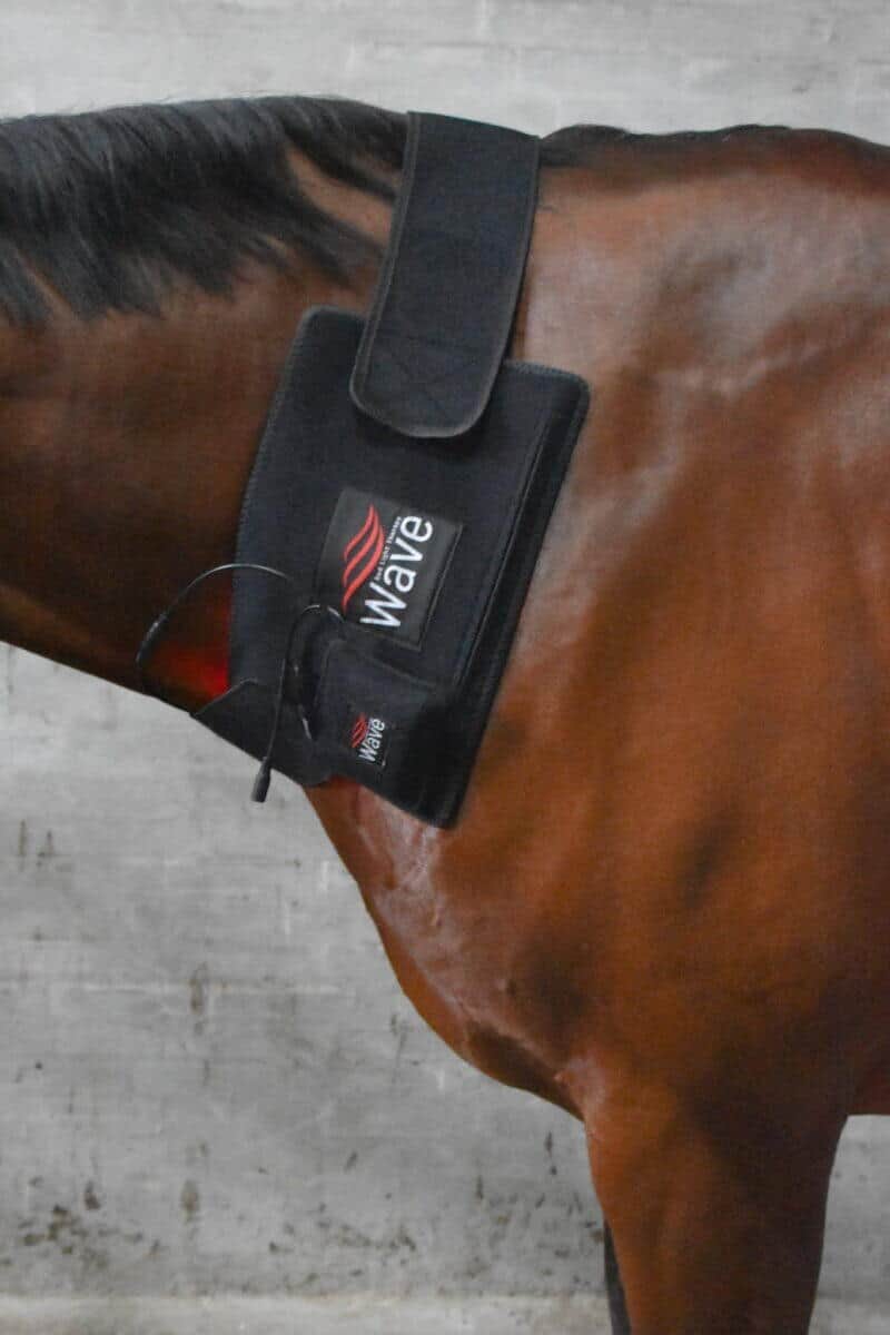 WAVE RLT G3 Deep Spectrum - Medium - Billede 9