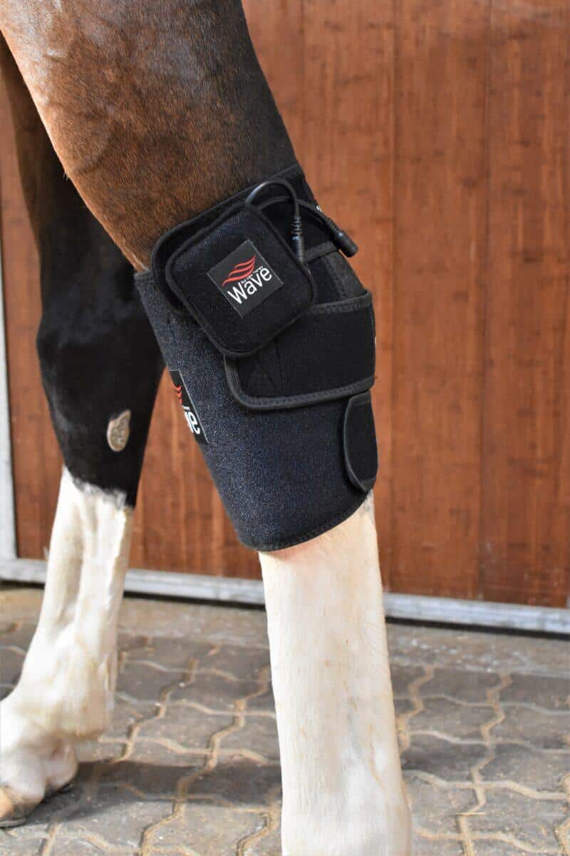 WAVE RLT G3 Deep Spectrum - Small Big Pack Gold - Billede 11