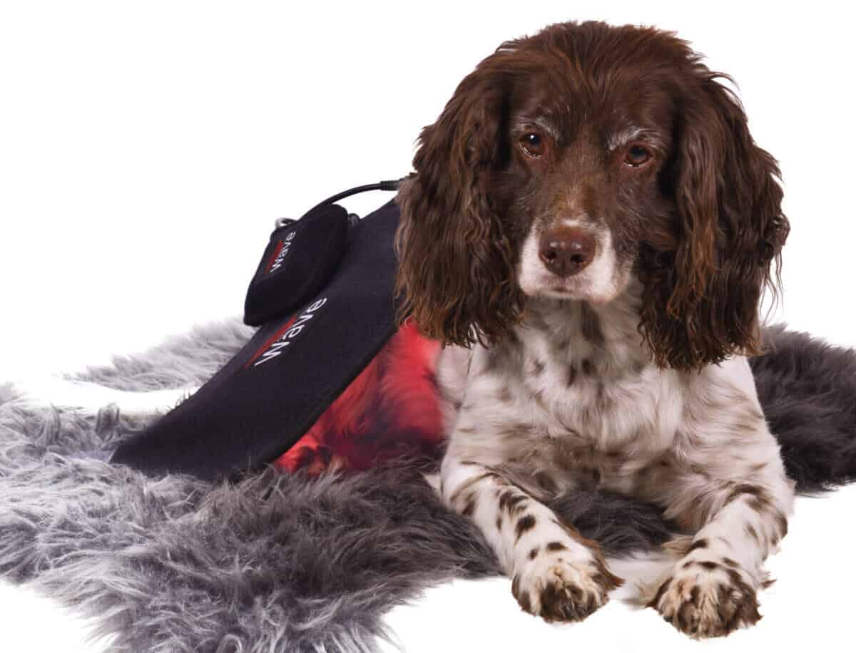 WAVE RLT G3 Deep Spectrum - Small Big Pack Gold - Billede 9