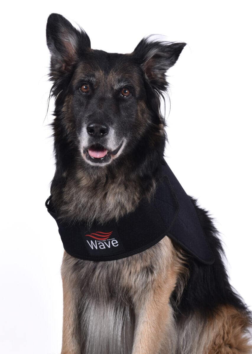 WAVE RLT G3 Deep Spectrum - Medium - Billede 4