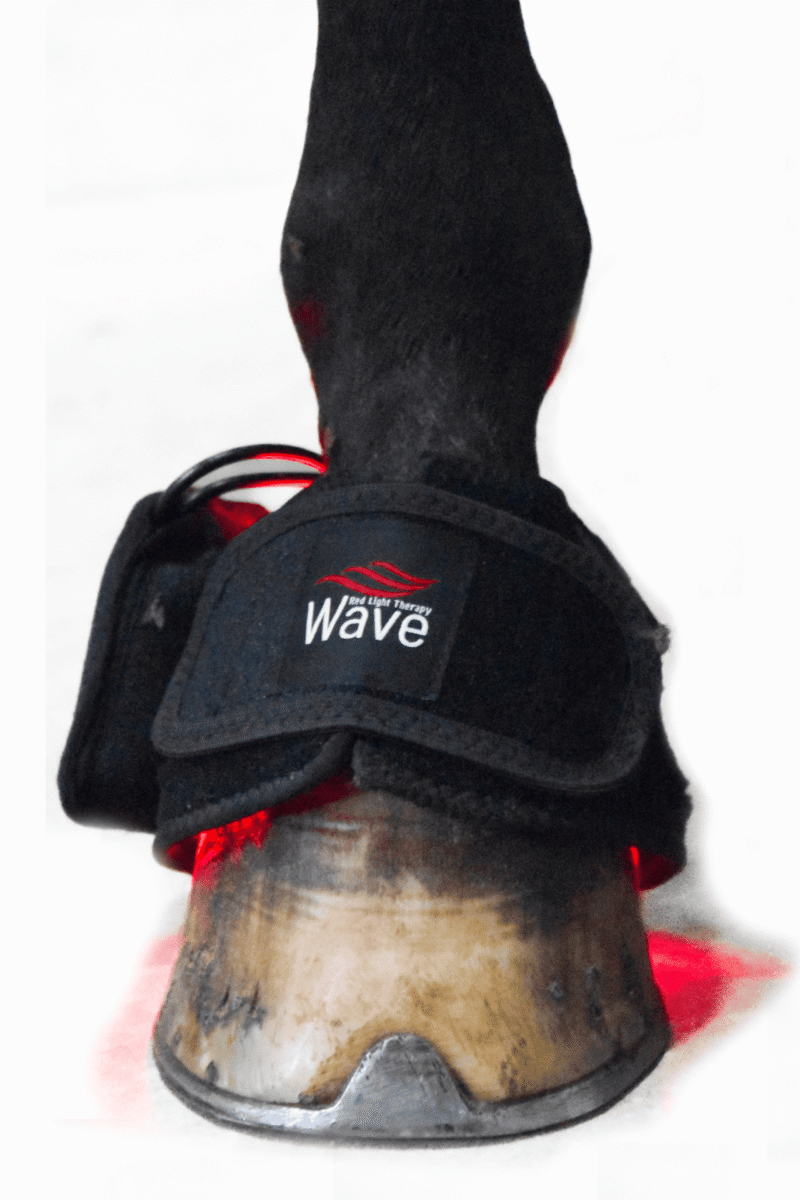 WAVE RLT G3 Deep Spectrum - 2 pcs. Bell boots - Picture 2