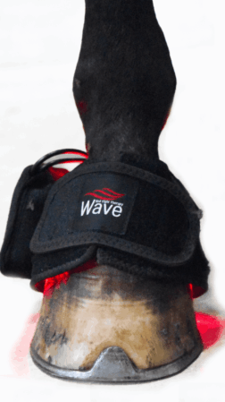 WAVE RLT G2 Lysterapi - Bell Boot