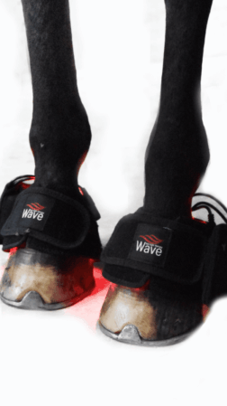 WAVE RLT G3 Deep Spectrum - 2 pcs. Bell boots