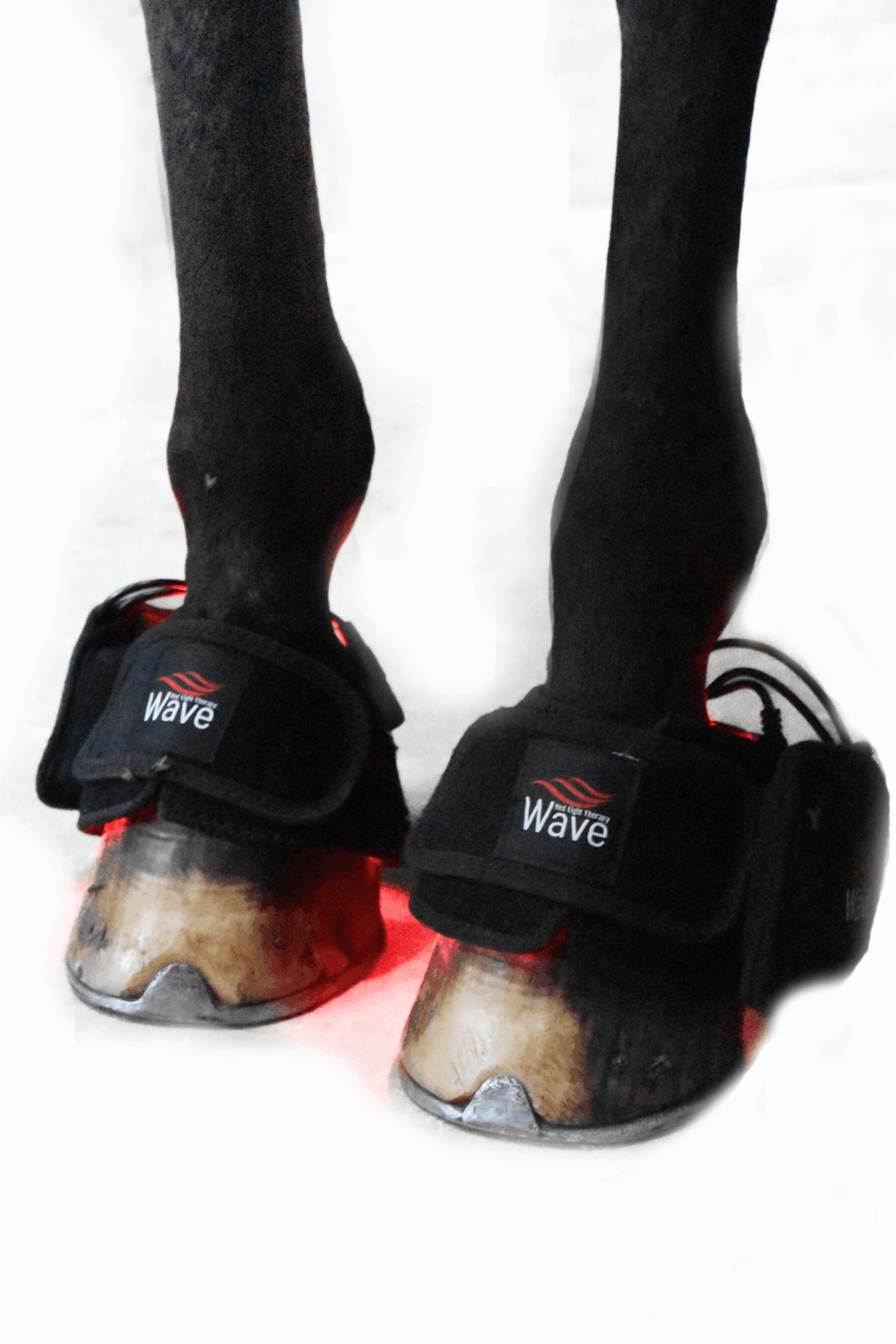 WAVE RLT G2 light therapy - 2 pcs. Bell boot