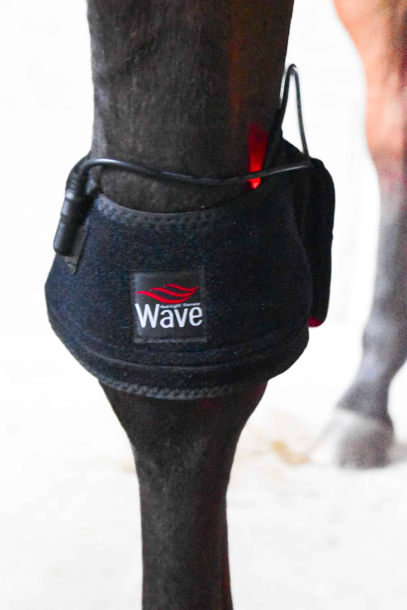 WAVE RLT G3 Deep Spectrum - 2 pcs. Bell boots - Picture 3