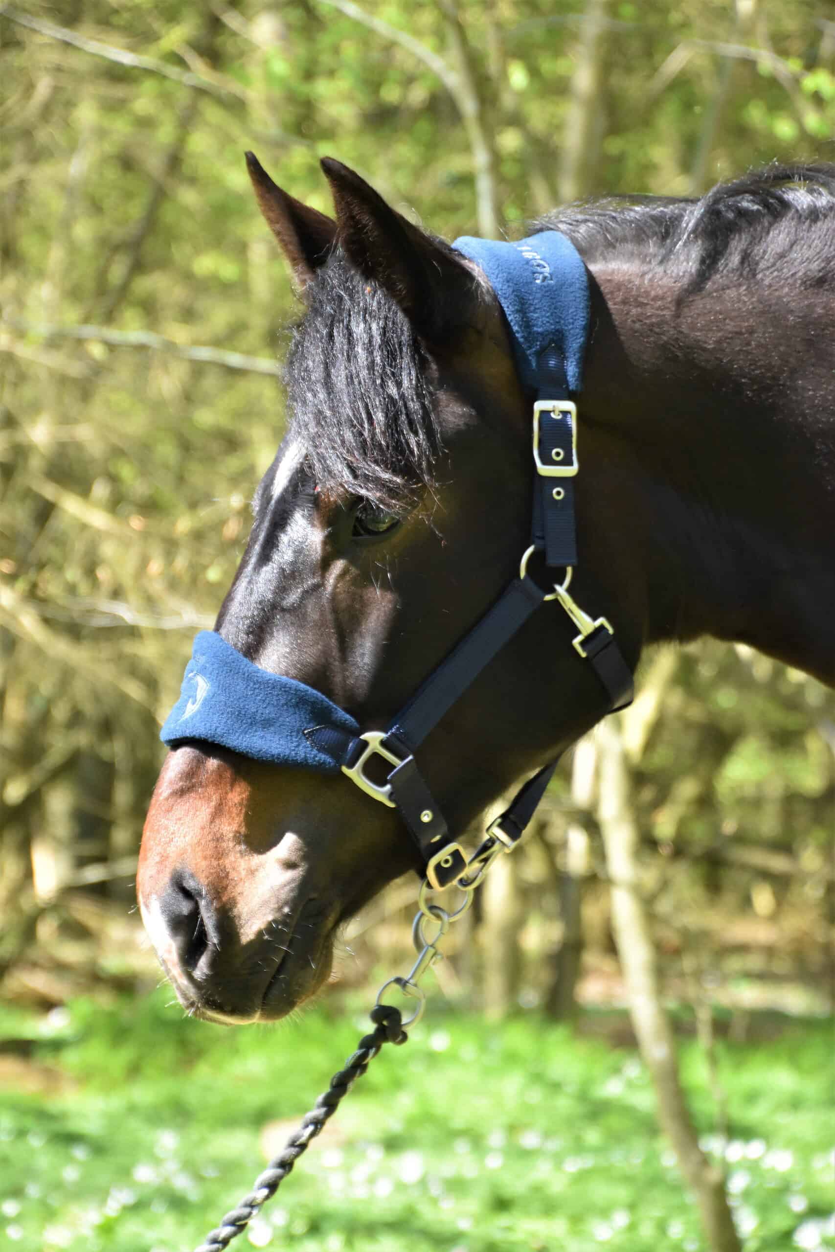 Alano Silver Grooming grime