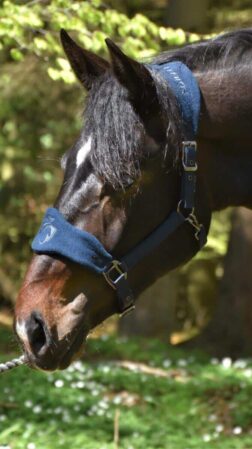 Alano Black Grooming grime