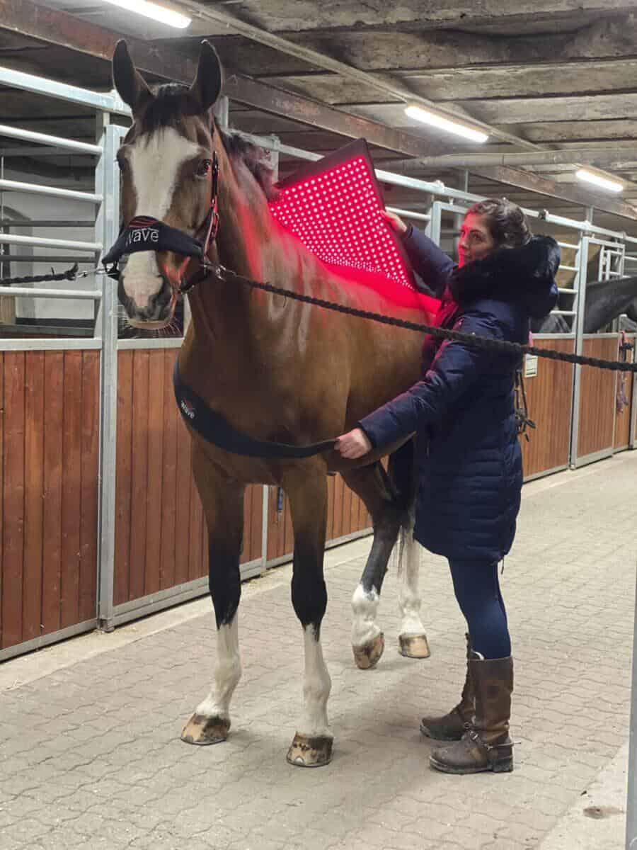 WAVE RLT G2 Lichttherapie - Decke - Bild 5