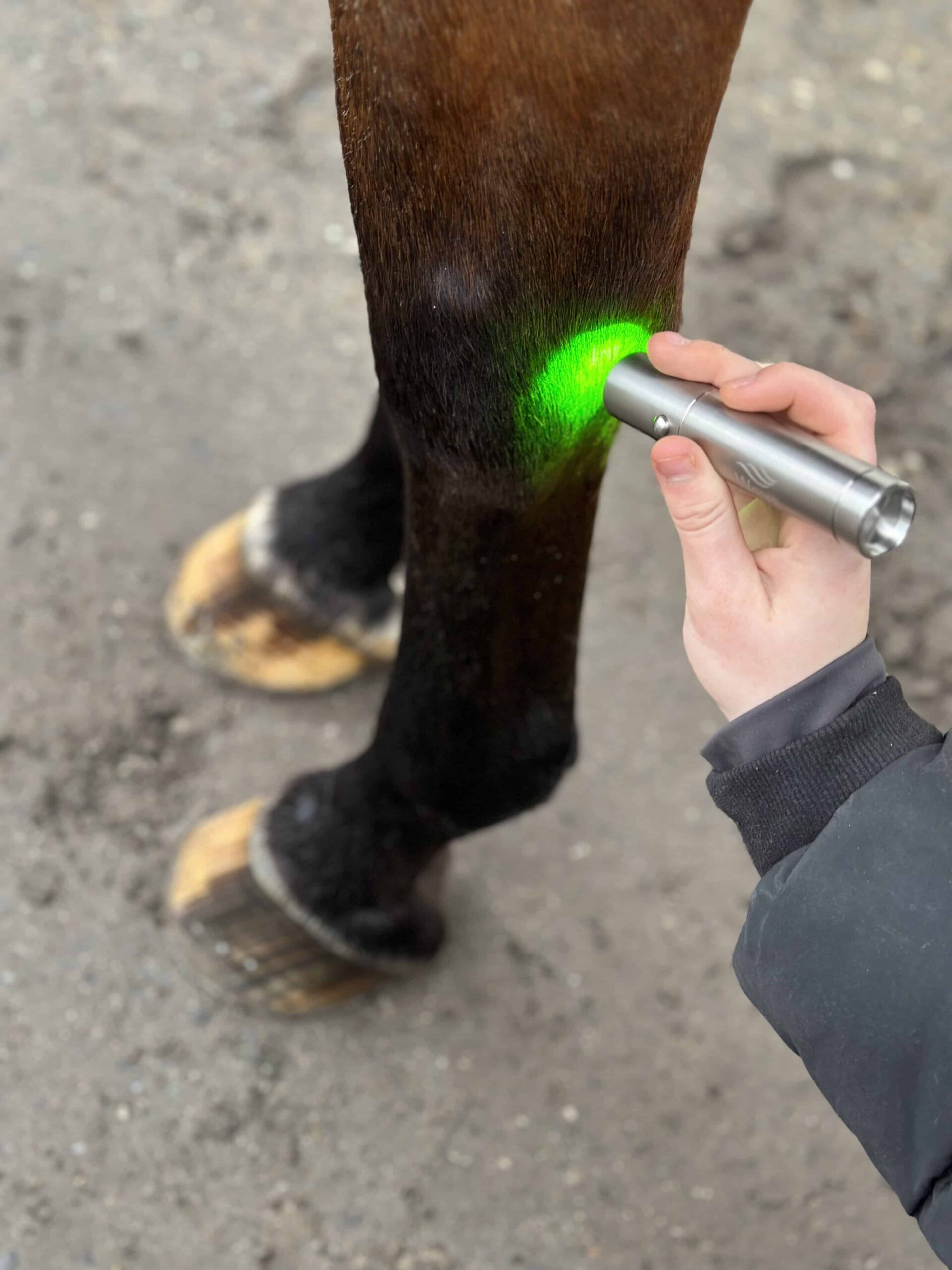 Wave RLT Green 1.0 Lichttherapiestift – Abbildung 10