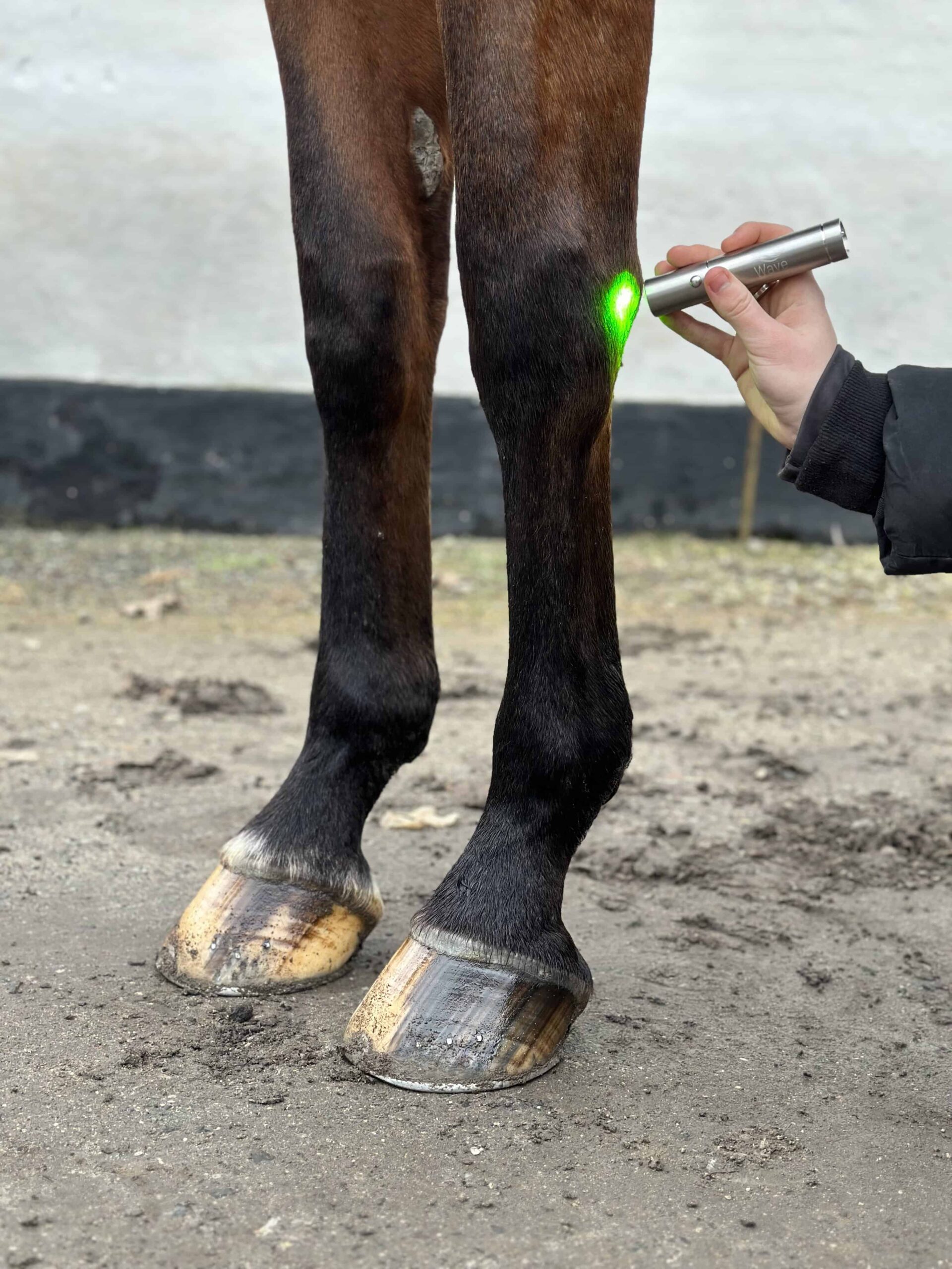 Wave RLT Green 1.0 Lichttherapiestift - Abbildung 11