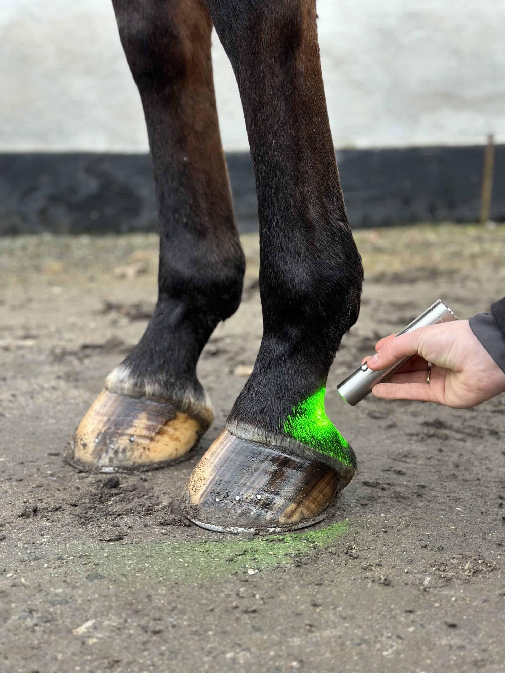 Wave RLT Green 1.0 Lichttherapiestift - Abbildung 12