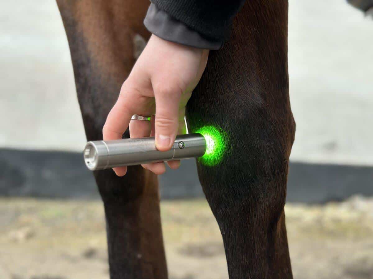 Wave RLT Green 1.0 Lichttherapiestift – Bild 2